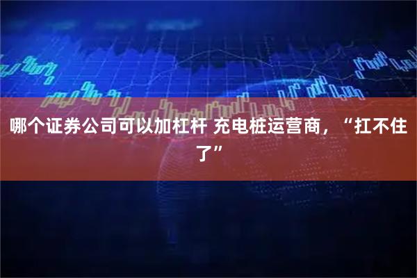 哪个证券公司可以加杠杆 充电桩运营商，“扛不住了”